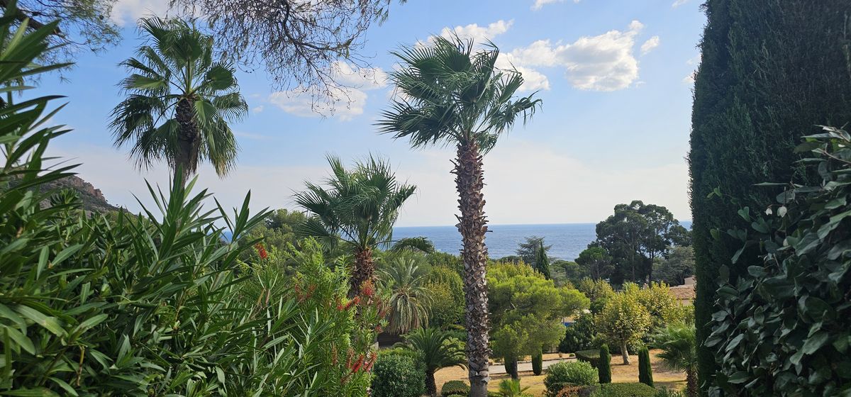 Baie d'Agay en journée avec reliefs de l'Estérel