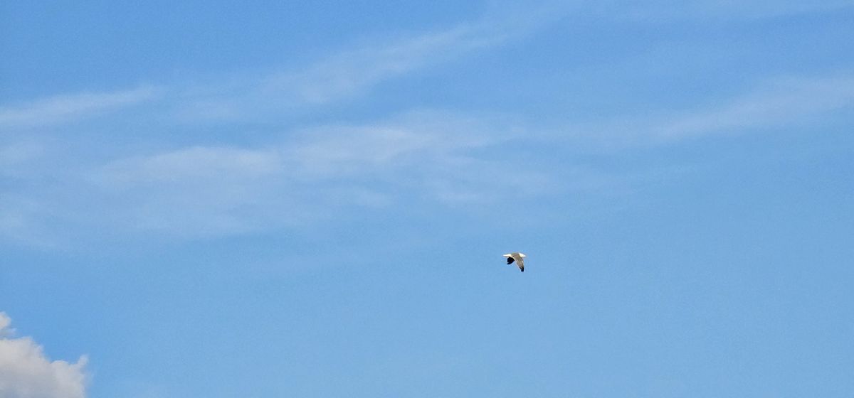 Plage de la baie d'Agay tôt le matin